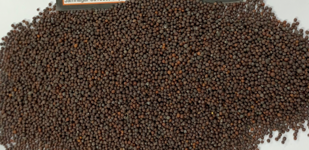 Black Mustard Seeds