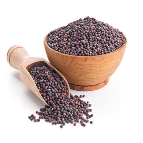 30, 50kg Red Mustard Seeds