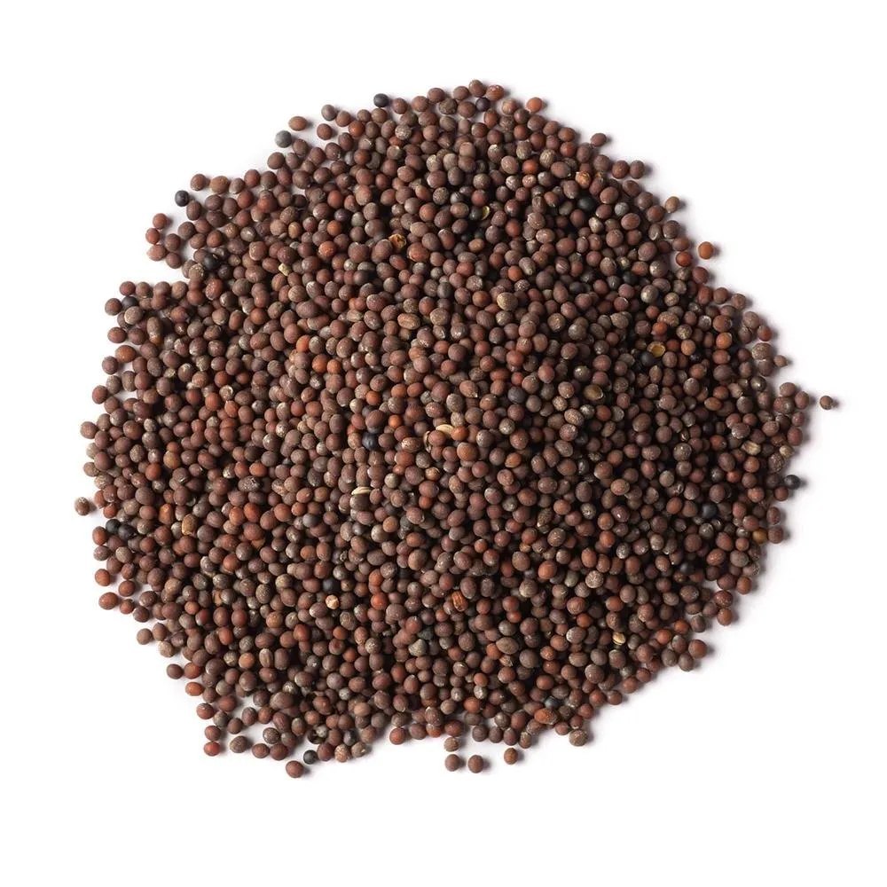 Brown Mustard Seed