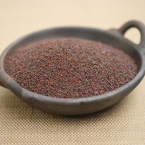 SBH Mustard Seeds
