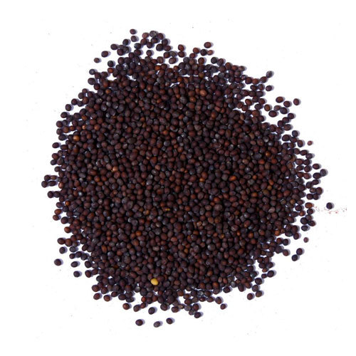 BTL Solid Mustard Seeds, For Agriculture, Packaging Type: Packet