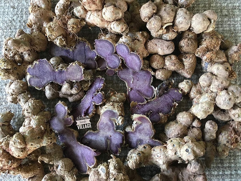 natural Black Ginger Seeds, Packaging Type: Gunny Bag, Packaging Size: 1 kg
