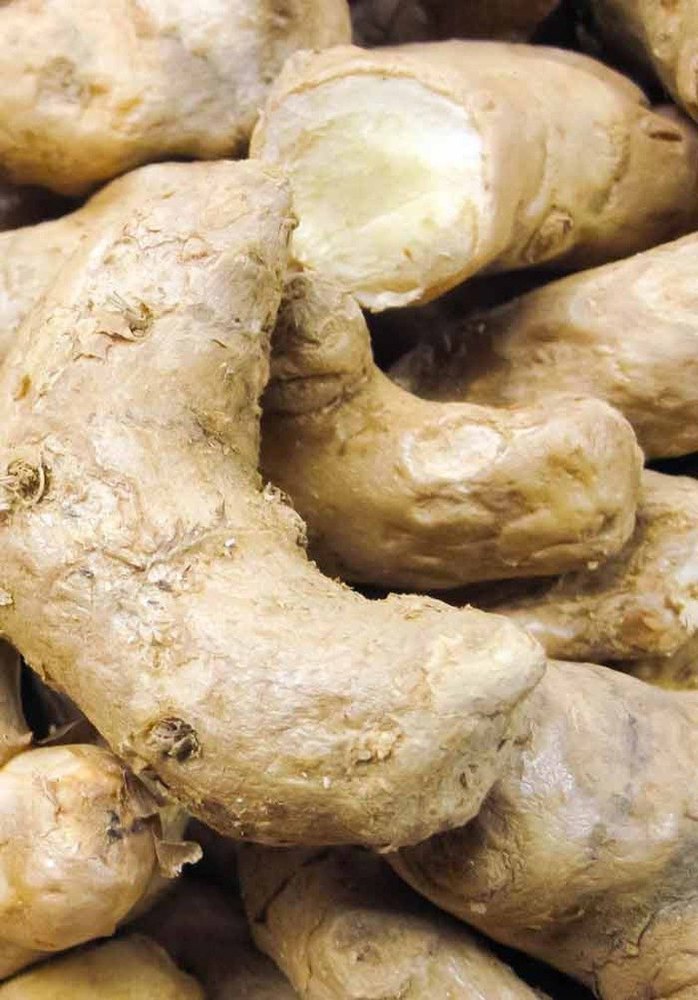 Organic Ginger Seed, Packaging Type: Loose