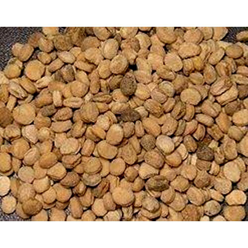 Ginger Seed