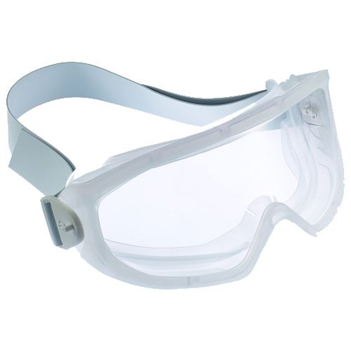 Autoclavable Goggles