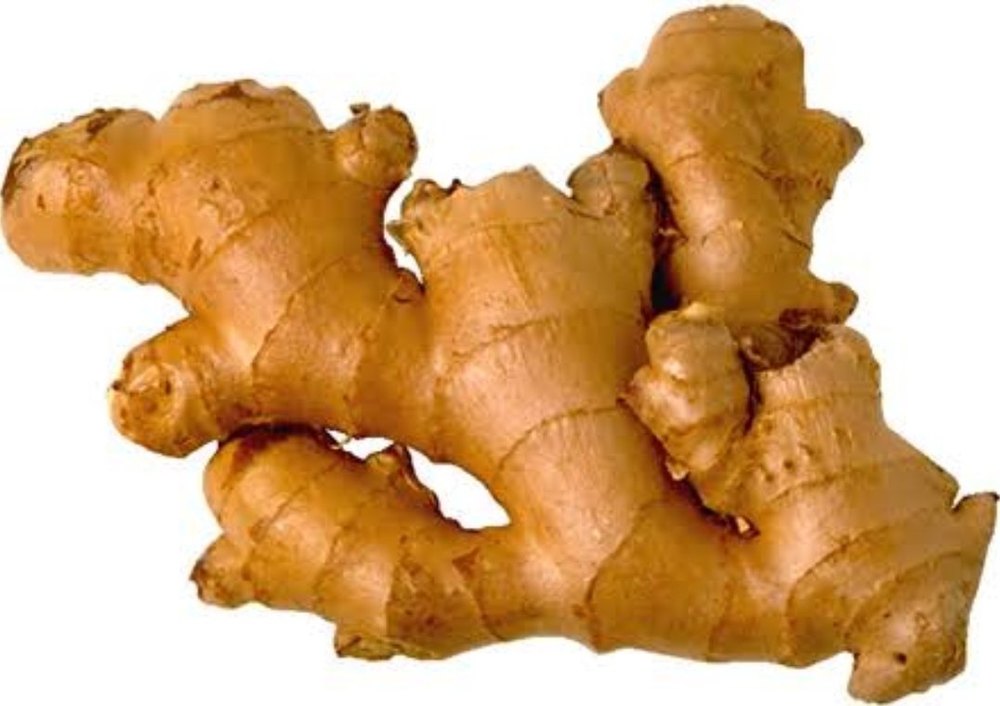 Bagwani Bazaar Brown Ginger Seeds, Packaging Type: Gunny Bag, Packaging Size: 40 Kg