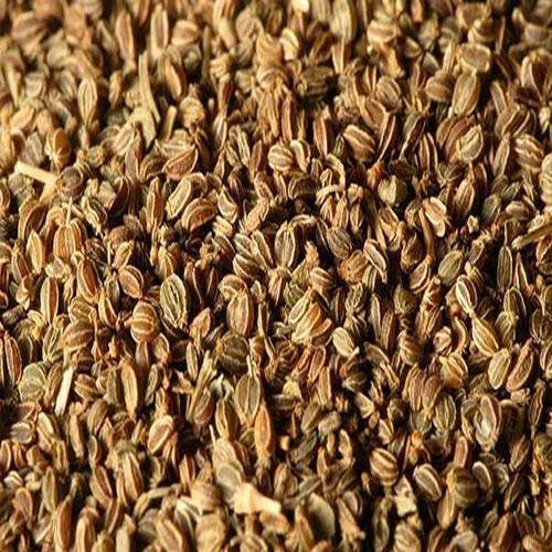 EASTMADE Brown Celery Seeds, Packaging Type: PP Bag, Packaging Size: 1-5 kg