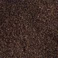 Vanilla Seeds