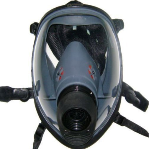 Venus V 777 Ms Full Face Mask, Multigas