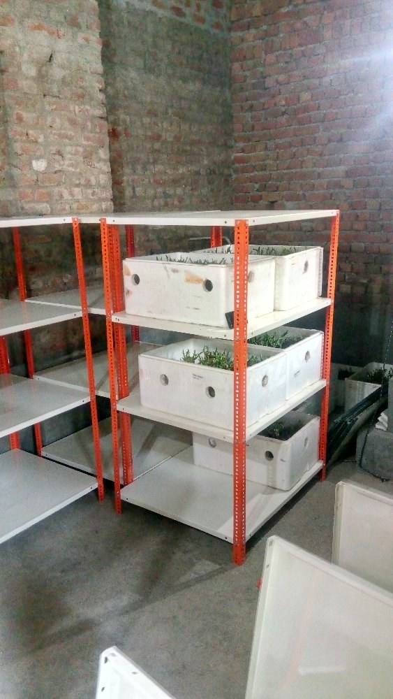 MS Slotted Angle Racks, For Warehouse, Height: 4 Feet