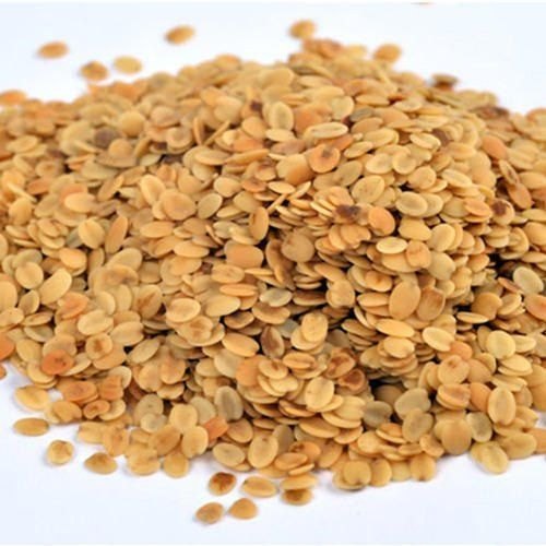 Patrani Brown Roasted Coriander (Dhana Dal) DELUX, For Mouth Freshner, Solid
