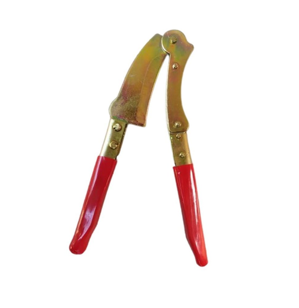 Golden and Red Stainless Steel Betel Nut Cutter