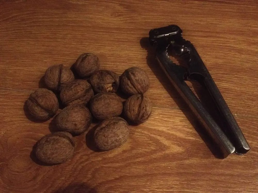 Silver Manual Stainless Steel Walnut Cracker