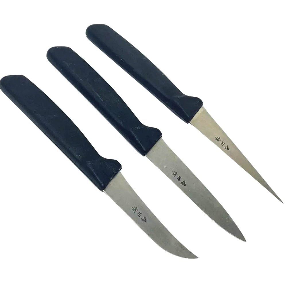 Stainless Steel Fruit and Vegetable Carving Knives with Plastic Handle