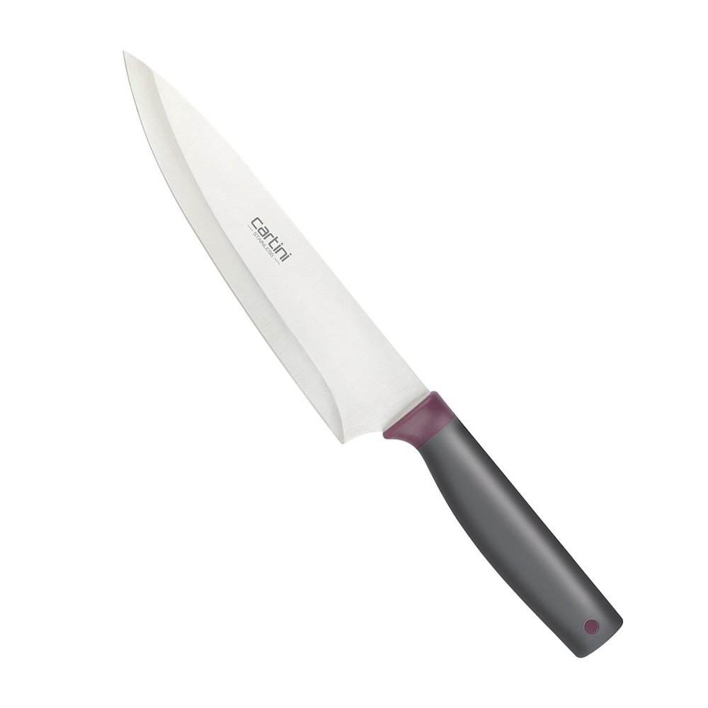 Silver Stainless Steel Cartini 6372 Cook\'s Carving Knife