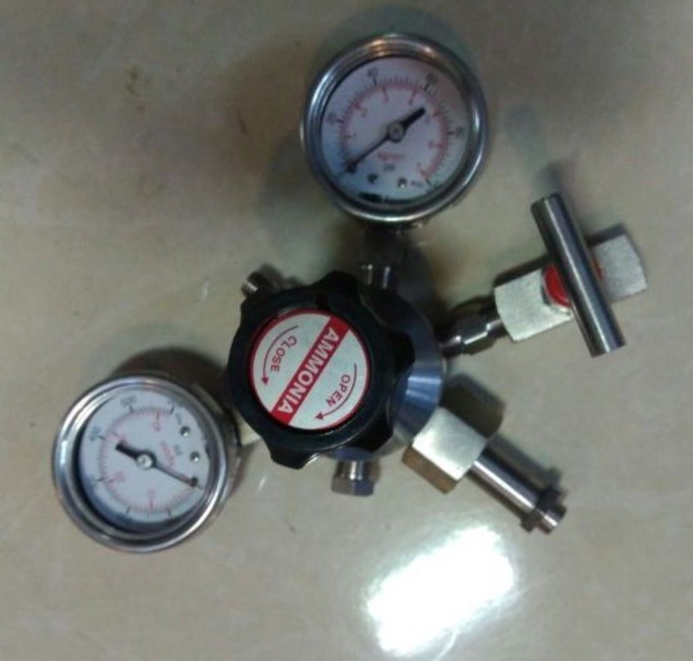 Stainless Steel Ammonia Cylinder Regulator, Size: 1/4 Inch