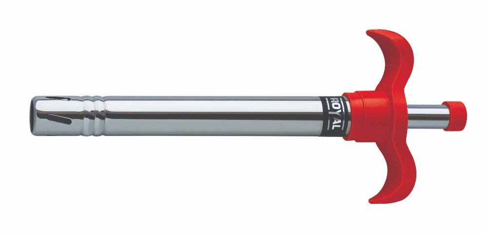 Royal Stainless Steel Regular SS Gas Lighter, For Kitchen