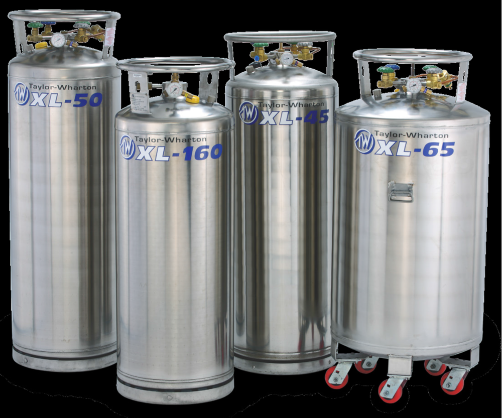 Stainless Steel 176 L Taylor-Wharton Liquid Cylinder (Dura Cylinder), 31 Bar, 136 Kg