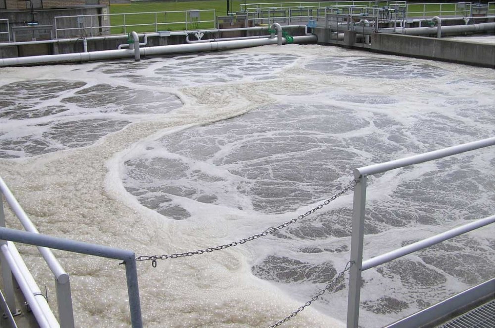 Bioremediation Services
