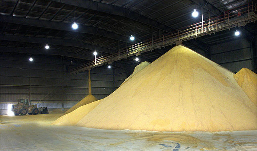 Grain Distillery Enzyme, Pack Size: 25kg
