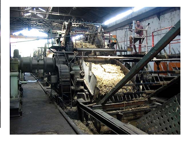 Cane Crushing Mill