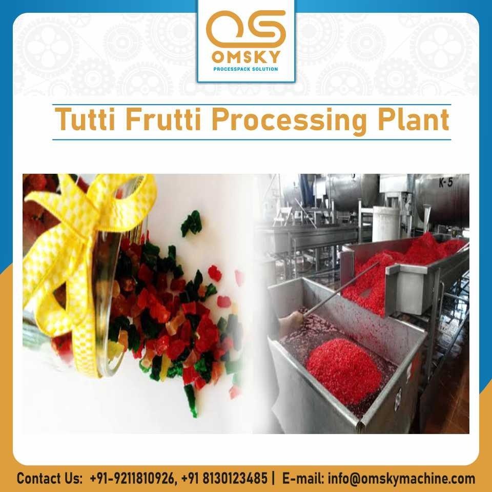 Tutti Frutti Processing Plant, Automation Grade: Automatic, Capacity: 100 - 1000 kg/Hr
