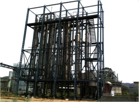 Glucose Making Plant