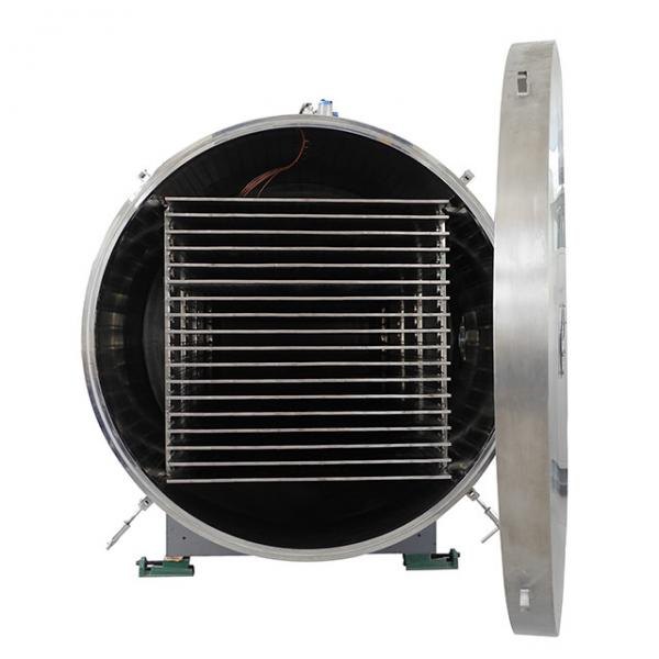 Vacuum Freeze Drying, Capacity: 1200kg Per Day, Model Name/Number: NSSPL