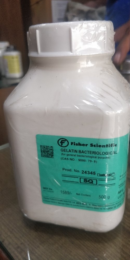 Qualigens White Gelatin Powder Extra Pure Bacto, Liquid, Packaging Size: 1 Litre