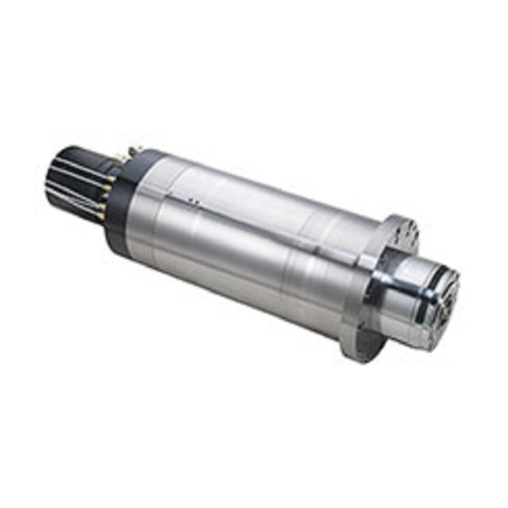 Ether India Stainless Steel Motorized Milling Spindle