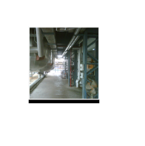 Palm Oil Fractionation and Refinery Plant