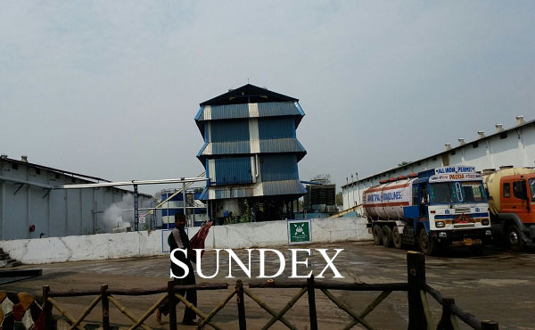 SUNDEX Sunflower Lecithin Powder Plant