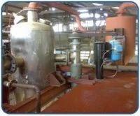Lecithin Plant