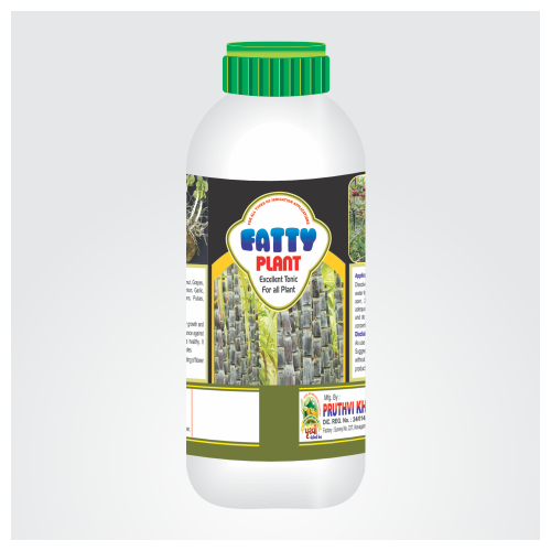 Fatty Plant