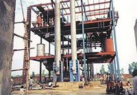 Fatty Acid Plants And Stearic Acid Plants