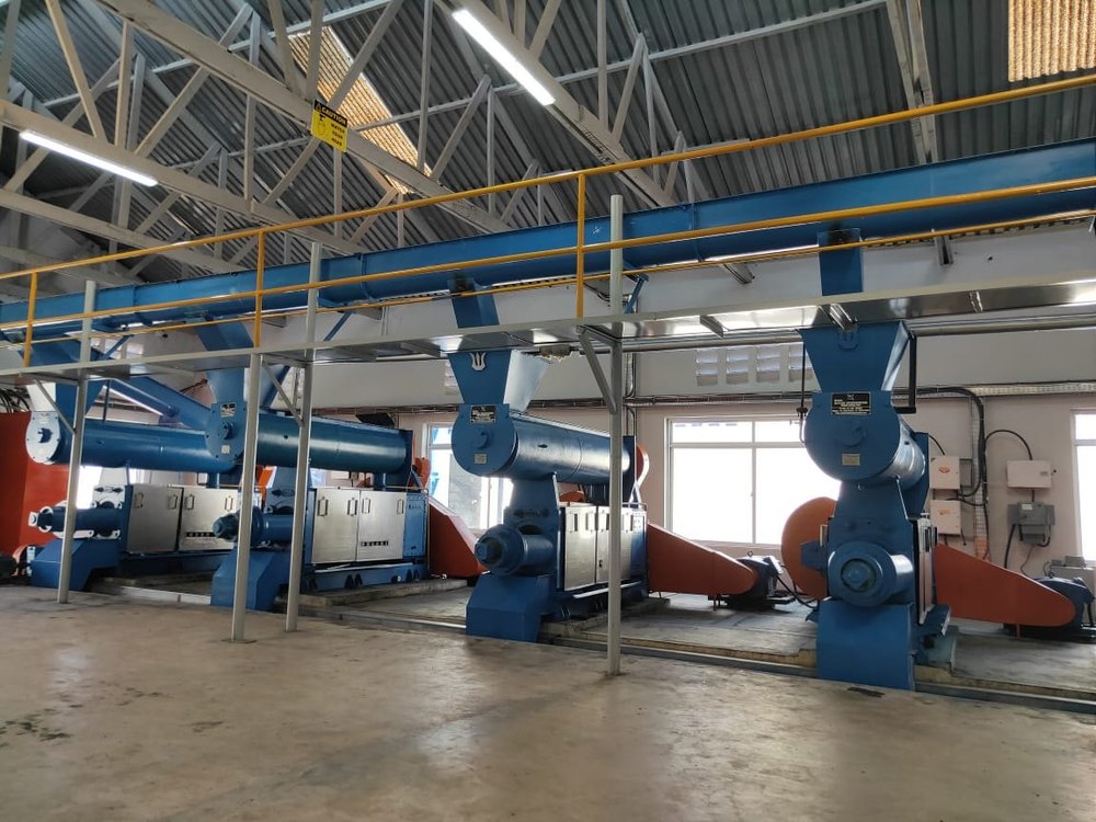 Electric Palm Fruit And Palm Kernel Oil Extraction Plant, Automation Grade: Automatic