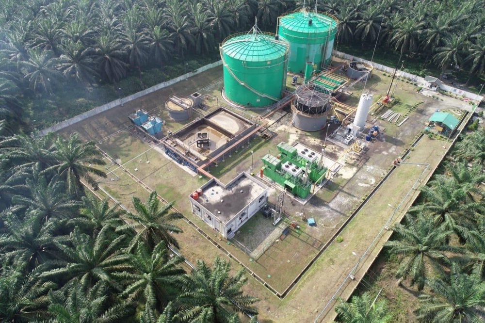 Automatic Palm Oil Milling Machine, Capacity: 10000 M3