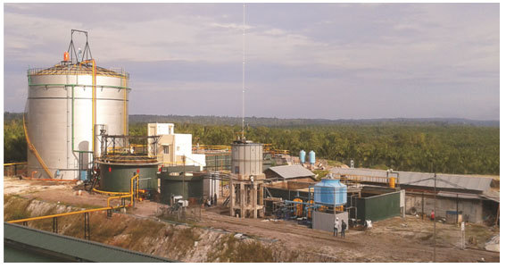 Palm Oil Mill Effluent Service