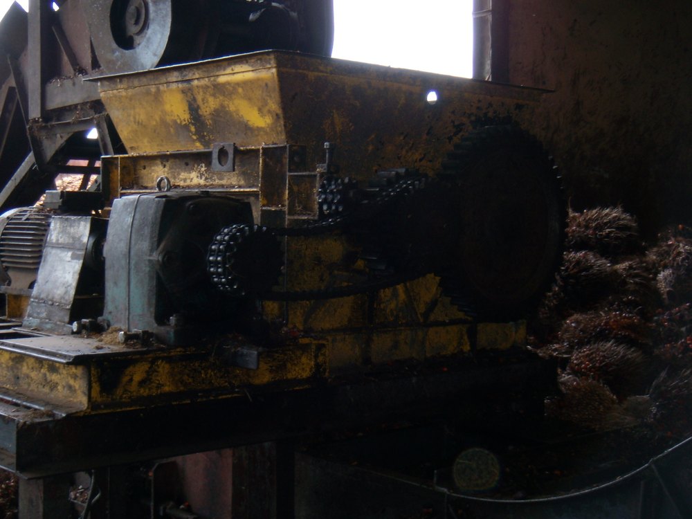 Palm Oil Mill