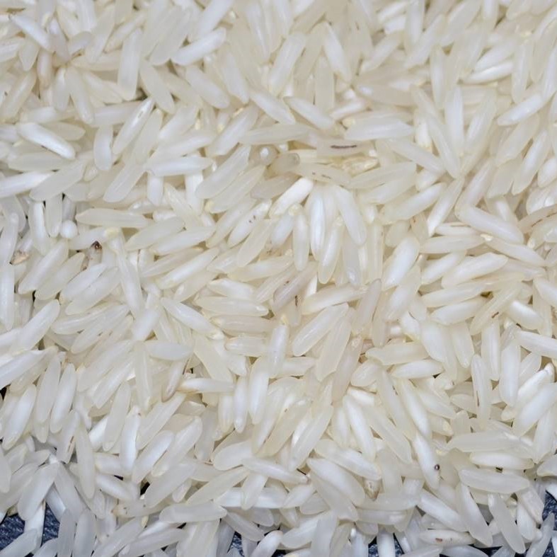 PR 11 Steam Rice