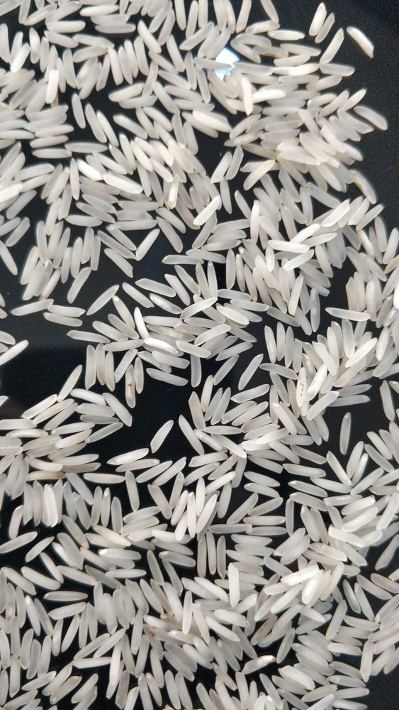 Sharbati Steamed Rice