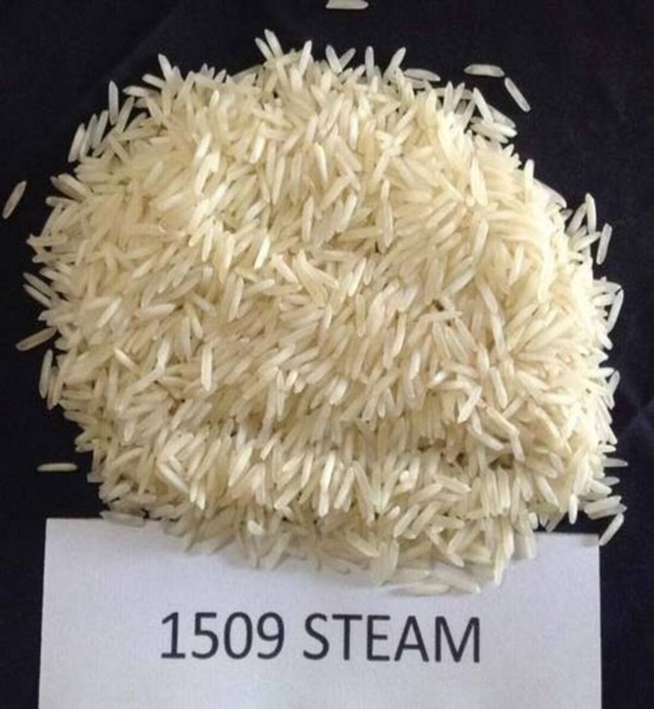 1509 Steam Rice, Packaging Size: 50kg, Packaging Type: Jute Bag