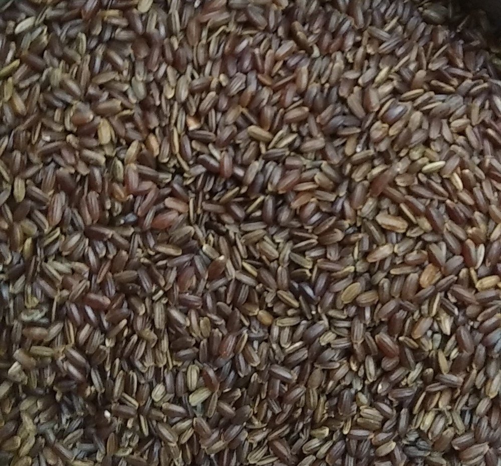 25KG Red Kullangar Rice