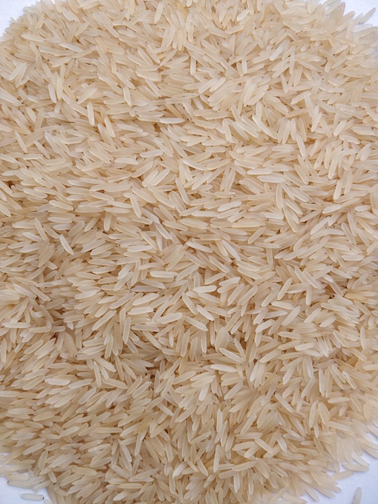 25 kg Golden Sella 1121 Basmati Rice, Packaging: Plastic Bag