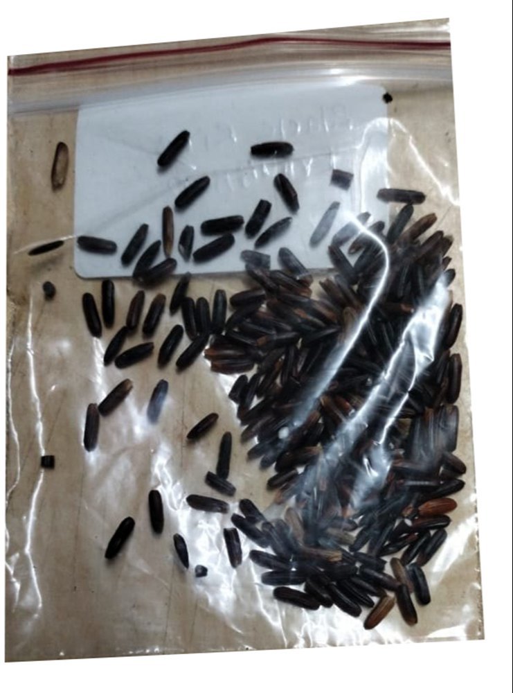Medium Grain Black Rice, Loose