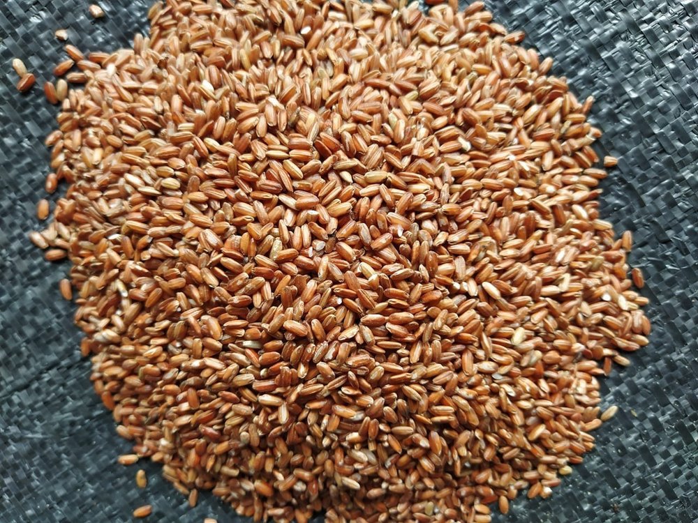 Medium Grain Brown Rice, Loose