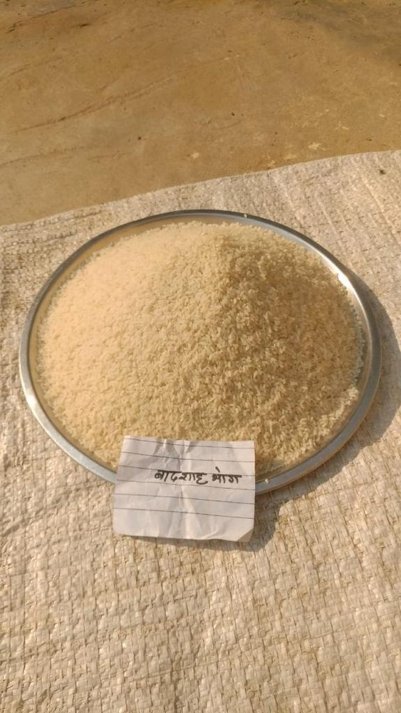 Indian Off White Badshah Bhog Short Grain Rice, Loose, High in Protein