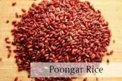 Brown Poongar Rice, Packaging Size:25 KGS