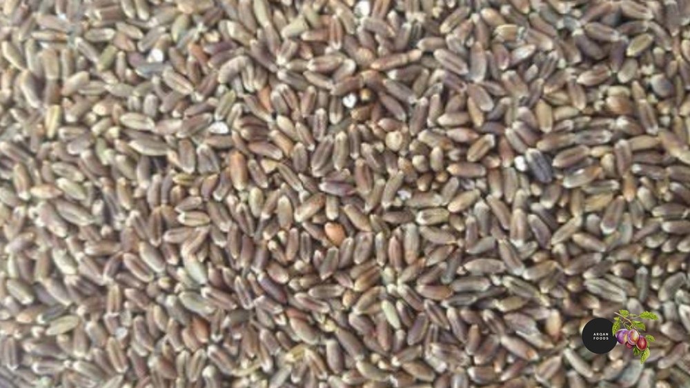 50 Kg Black Wheat Seed