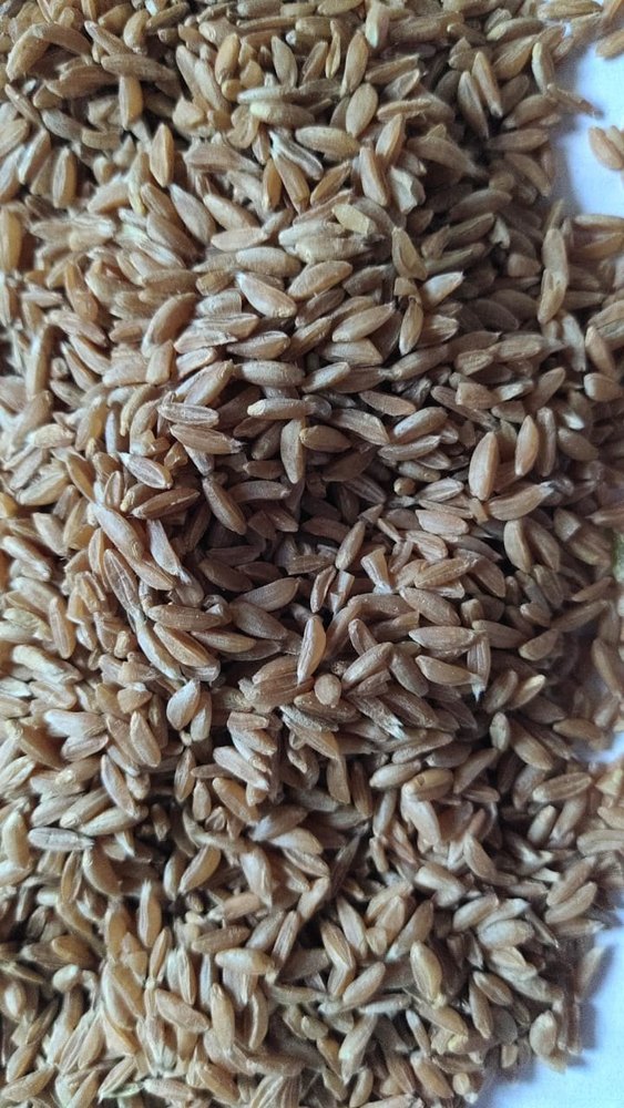 Golden 30kg Organic Khapli Wheat